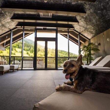 Hotel Roman Maramures - Ski & Spa Resort Statiunea Buitenkant foto