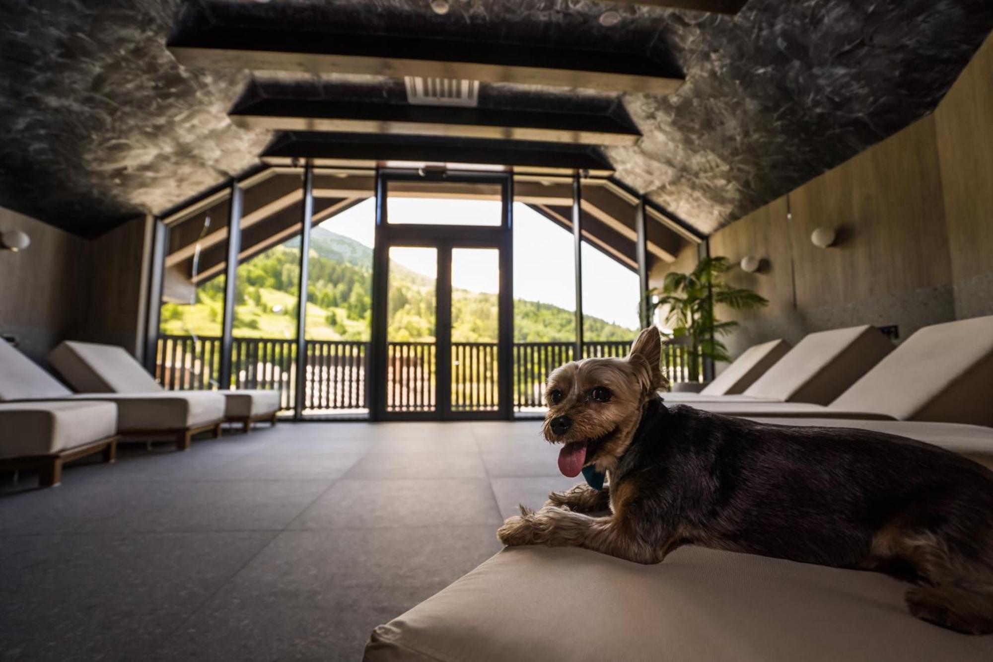 Hotel Roman Maramures - Ski & Spa Resort Statiunea Buitenkant foto